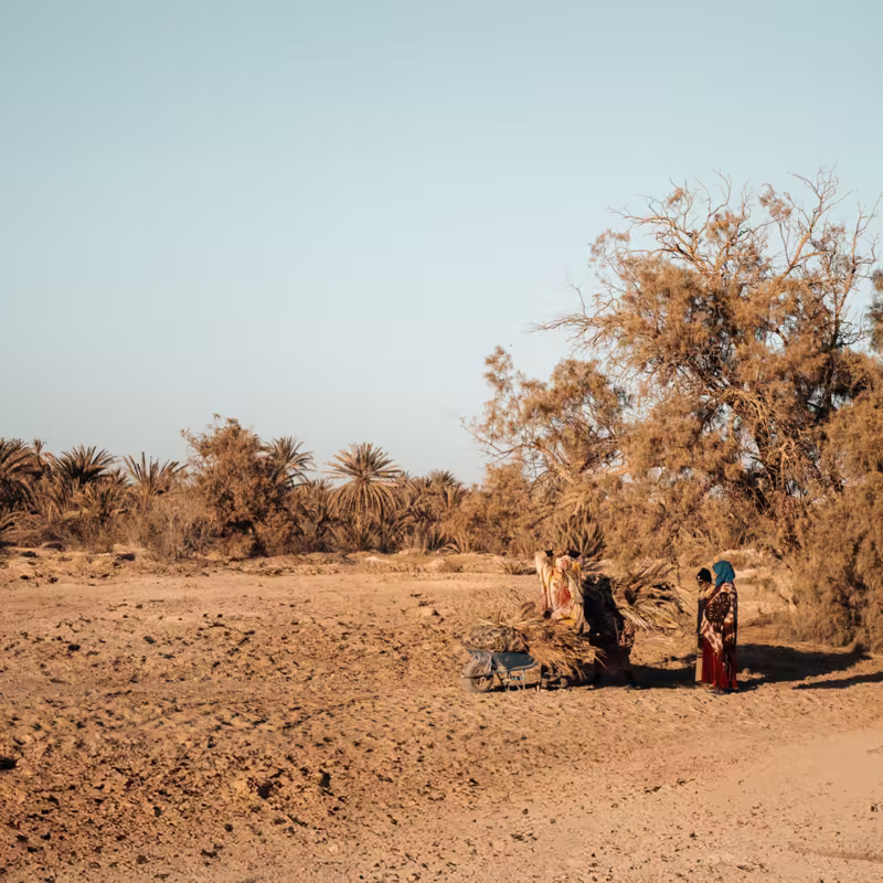 Oasi del Marocco pre-sahariano